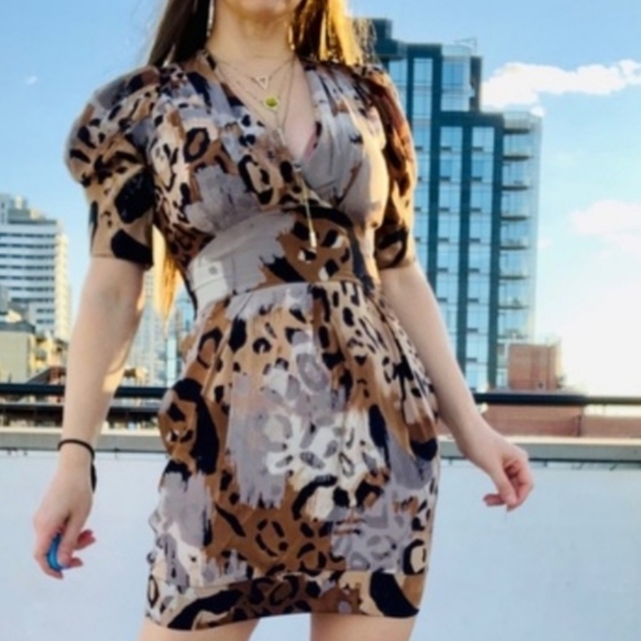 DIANE VON FURSTENBURG Sabine Animal Print Dress Size 6 LUXURY - Picture 2 of 9